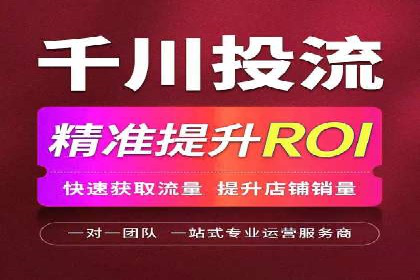 SEO与SEM优化案例：打造行业领先品牌
